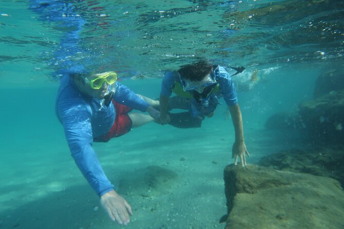 Experience Peanut Island Adventures - Key points to know before you book