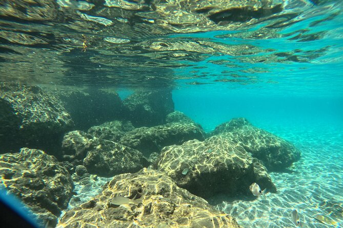 Experience Peanut Island Adventures - Kayaking and paddle boarding need clear expectations