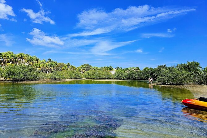 Experience Peanut Island Adventures - Price and value for a two-hour outing