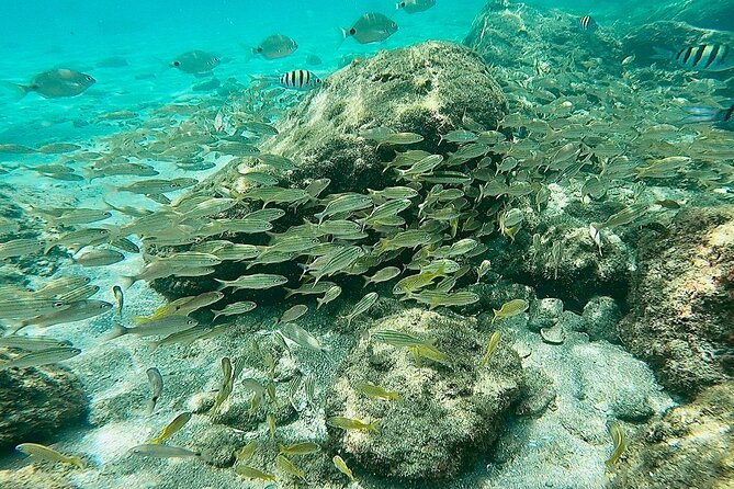 Experience Peanut Island Adventures - Leaving from Riviera Beach by boat