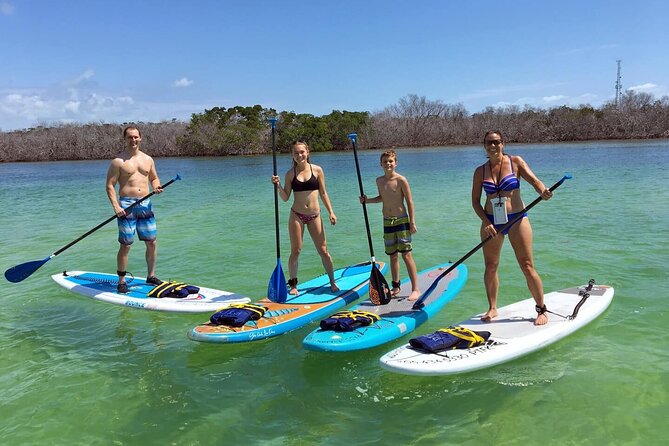 Explore the Mangrove Creeks with an ALL Day Tandem Kayak Rental - Key points to know before you paddle