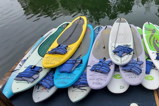 Explore the Mangrove Creeks with an ALL Day Tandem Kayak Rental - Equipment, comfort, and practical preparation