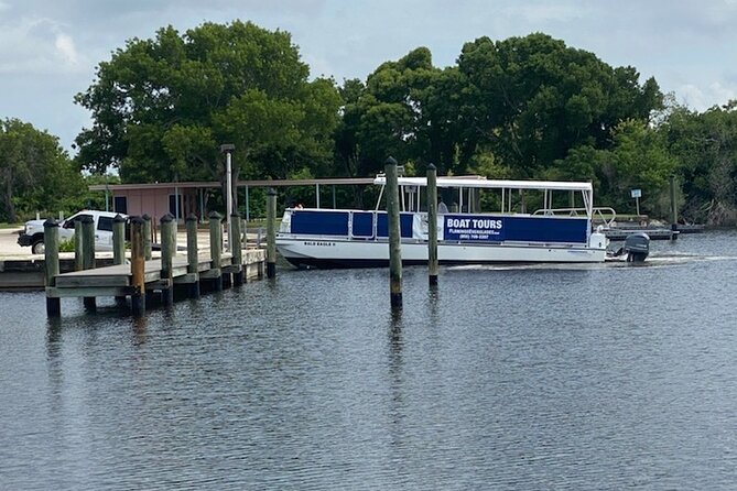 Flamingo Everglades Boat Tours - Tarpon Creek and the mangrove lesson