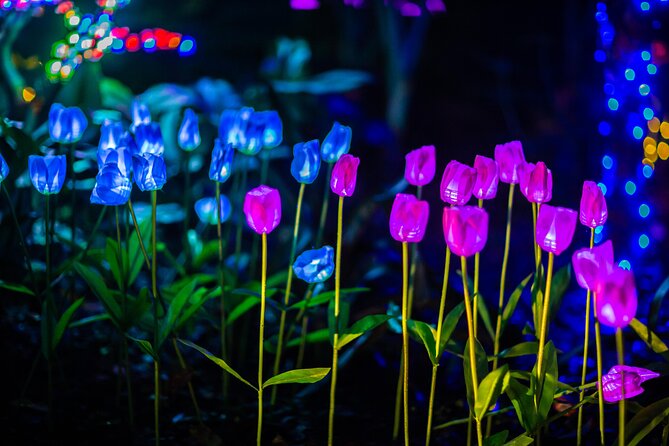 Flamingo Gardens' Garden of Lights - Santa, snow, and family activities