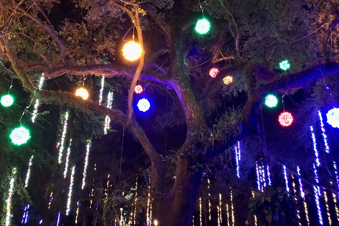 Flamingo Gardens' Garden of Lights - Music under the holiday lights