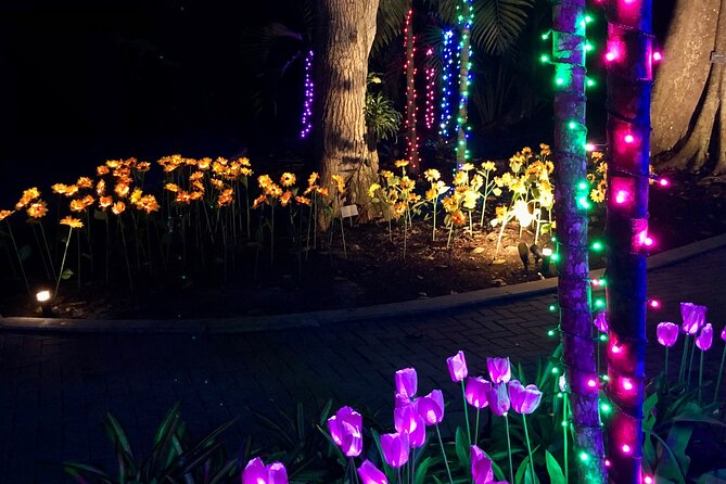 Flamingo Gardens' Garden of Lights - Lighting quality can shape the whole visit