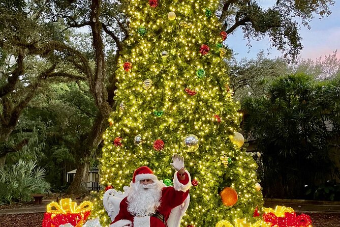 Flamingo Gardens' Garden of Lights - Walking the Arboretum and Wray Lawn