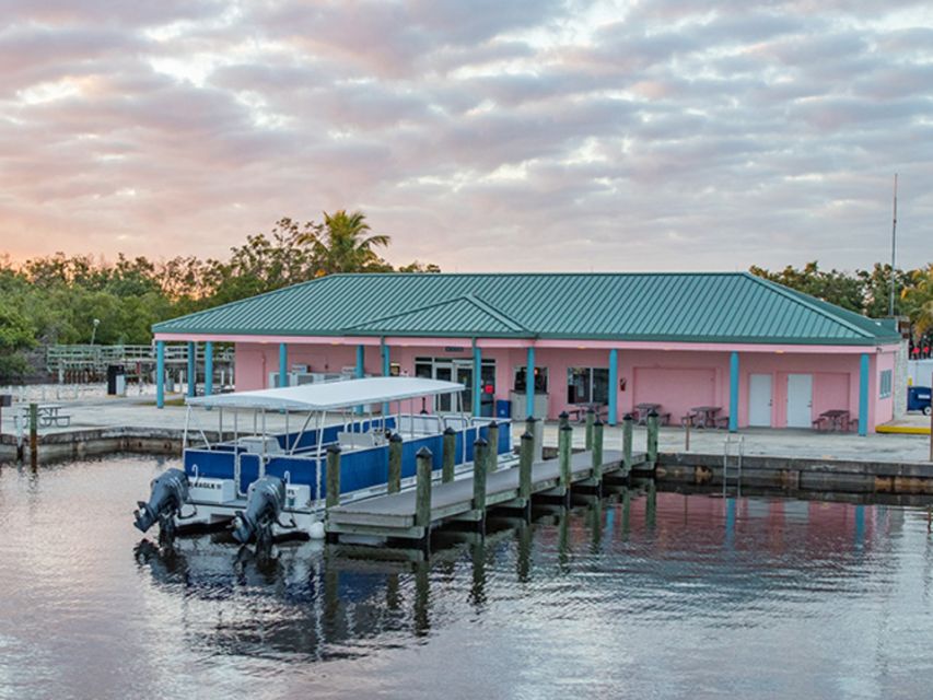 Flamingo Marina: Backcountry Boat Tour of the Everglades - Buttonwood Canal: easing into the backcountry