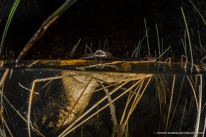 Florida Everglades Night Airboat Tour near Fort Lauderdale - Why the Everglades feels different after sunset