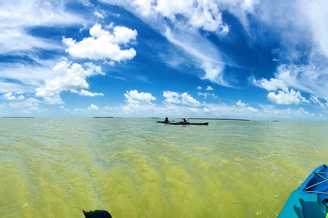 Florida Keys Eco Tour: Snorkel, Kayak, Lunch + Transportation! - Key Points to Know Before Booking