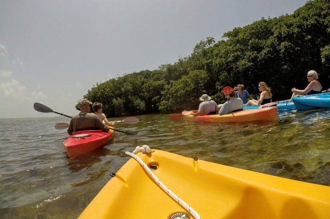 Florida Keys Eco Tour: Snorkel, Kayak, Lunch + Transportation! - Stop One: Birds at the Florida Keys Wild Bird Sanctuary