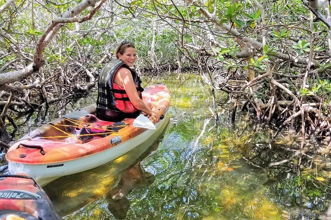 Florida Keys Eco Tour: Snorkel, Kayak, Lunch + Transportation! - Stop Three: Reef Snorkeling in the National Marine Sanctuary