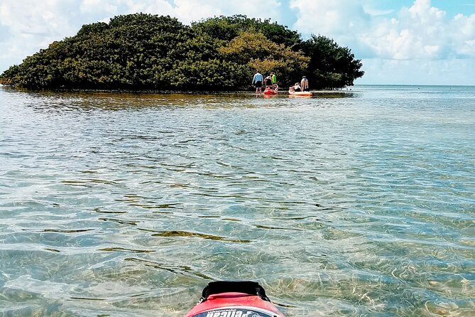 Florida Keys Eco Tour: Snorkel, Kayak, Lunch + Transportation! - A Stop for Key Lime Pie on the Way Home