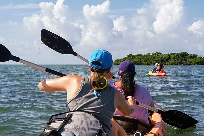 Florida Keys Eco Tour: Snorkel, Kayak, Lunch + Transportation! - What the $289 Price Really Covers
