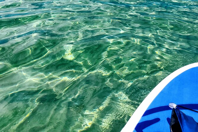 Florida Keys Eco Tour: Snorkel, Kayak, Lunch + Transportation! - Weather, Fitness, and Practical Limits