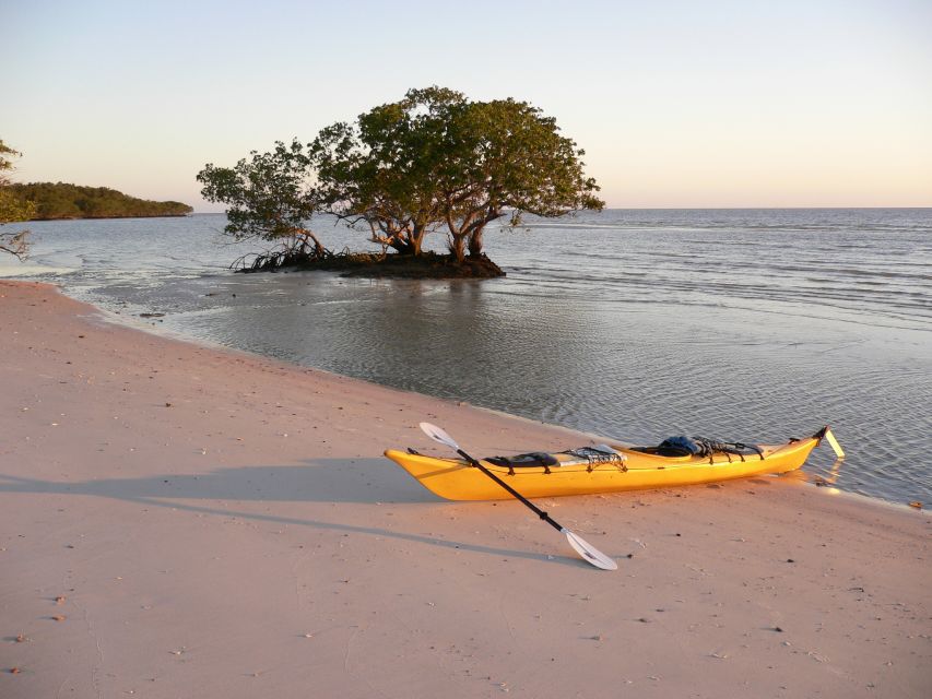 Florida Keys: Key West Kayak Eco Tour with Nature Guide - A practical way to judge the weather