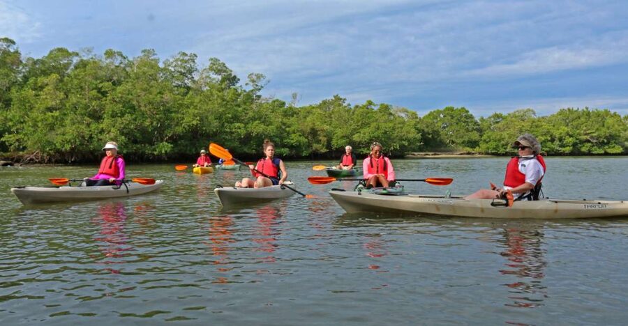 Florida Keys: Key West Kayak Eco Tour with Nature Guide - The nature-tank moment