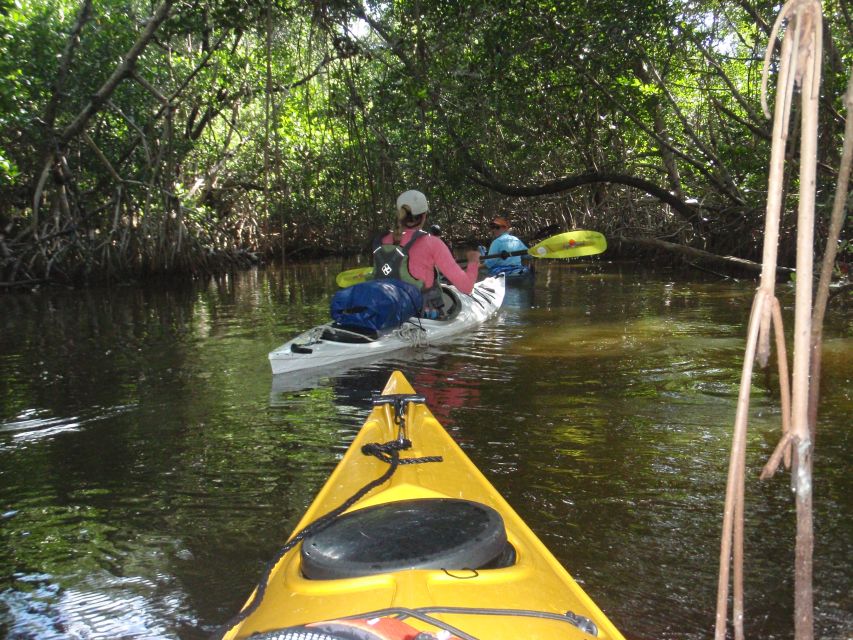 Florida Keys: Key West Kayak Eco Tour with Nature Guide - How the small group changes the outing
