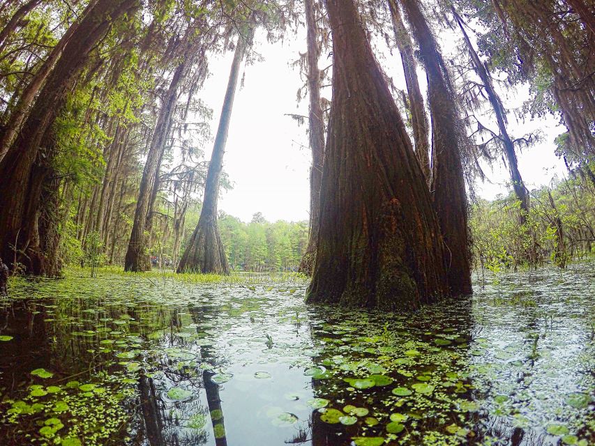 Florida Keys: Key West Kayak Eco Tour with Nature Guide - Timing, meeting point, and what to expect