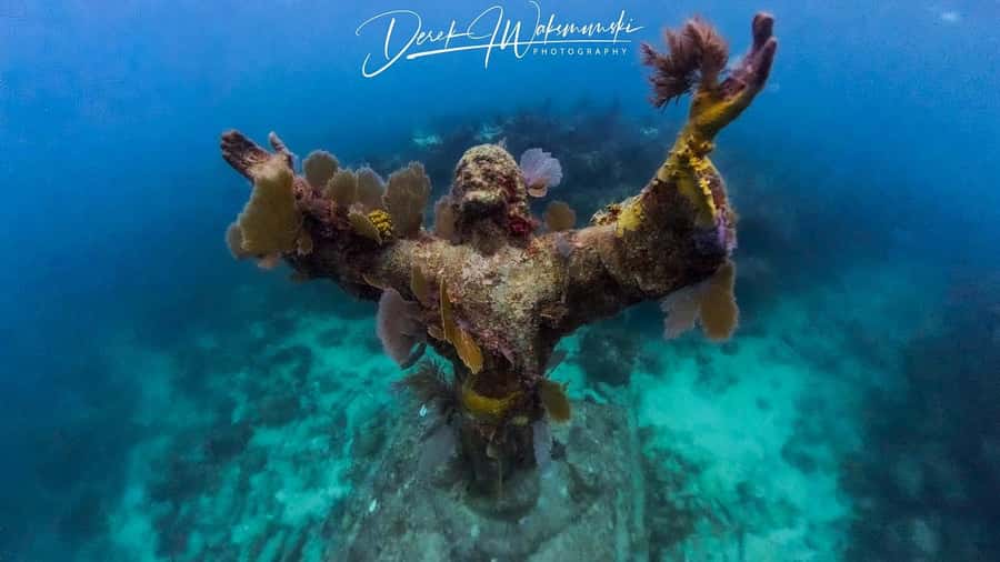 Florida Keys: Scuba Diving & Snorkeling Reef Trip - How much value do you get for $80?