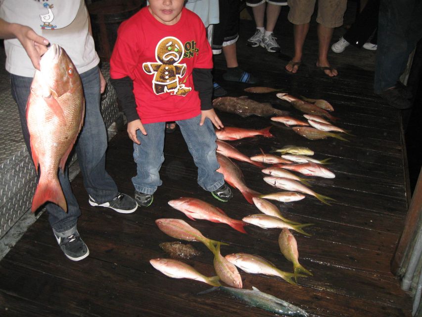 Fort Lauderdale: 4-Hour Deep Sea Drift Fishing Trip - Daytime fishing over reefs and wrecks