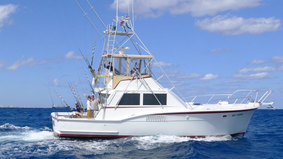 Fort Lauderdale: 4-Hour Sport Fishing Shared Charter - The captain and mate make the difference