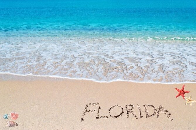 Fort Lauderdale Airport Private Transfer to Port Everglades - Who should book this airport-to-port ride