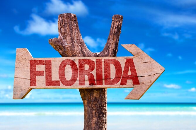 Fort Lauderdale Airport Private Transfer (Up To 14 Passengers) - Taking a large group to a cruise