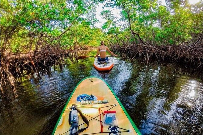 Fort Lauderdale Bonnet House Ground and Guided Paddle Board Kayak - Paddling Bonnet House’s quiet western border