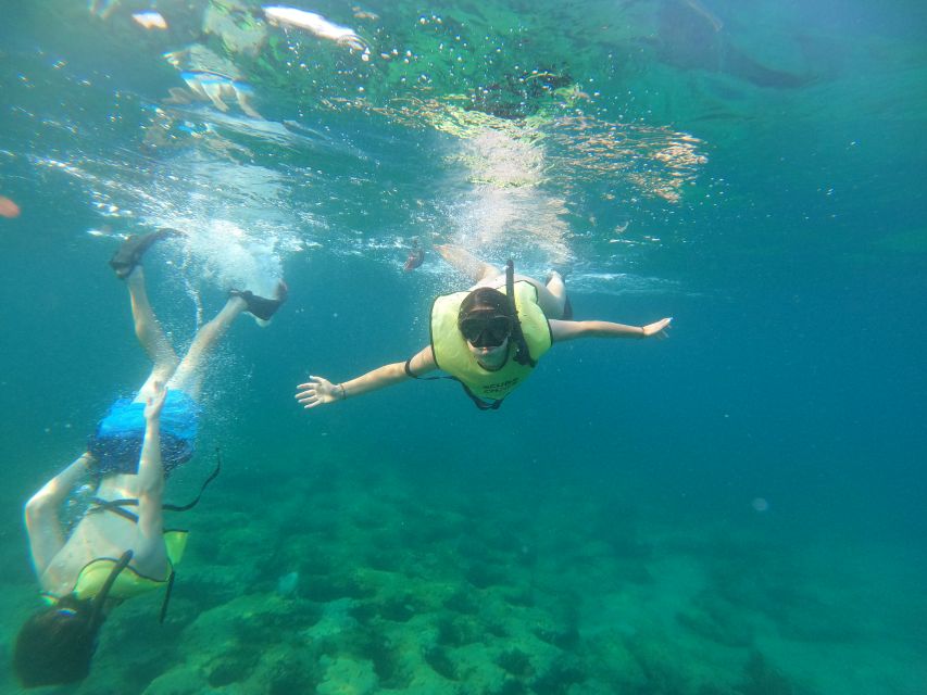 Fort Lauderdale: Guided Snorkeling Reef Tour and Lesson - Key points to know before you book