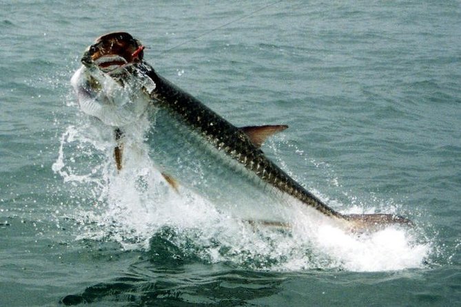 Fort Lauderdale Inshore Fishing Charters - Starting at Cox’s Landing Boat Ramp