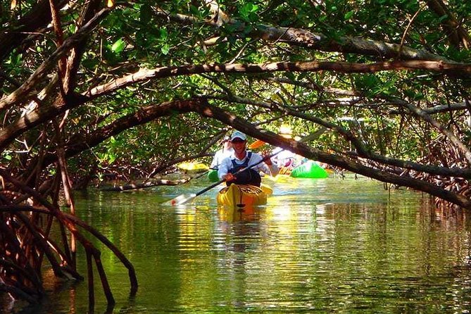 Fort Lauderdale’s Tropical Kayak Tour and Island Adventure - Starting at 11 a.m. on North Federal Highway