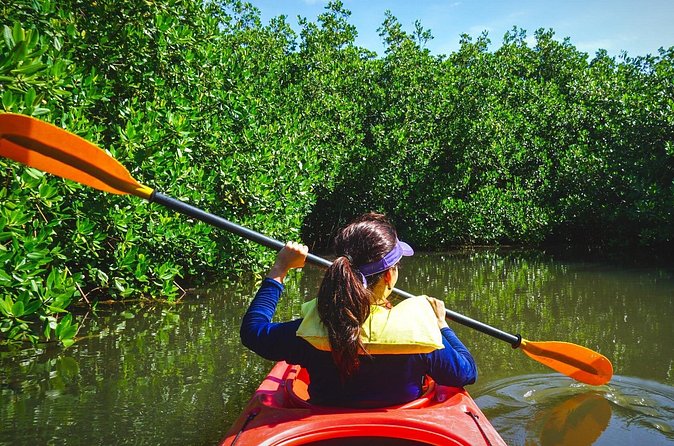 Fort Lauderdale’s Tropical Kayak Tour and Island Adventure - Who will enjoy this outing most?