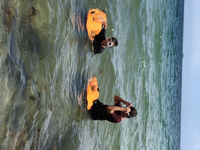Fort Lauderdale: Ultimate SEABOB Snorkel Rental & Excursion - What makes the SEABOB different from normal snorkeling