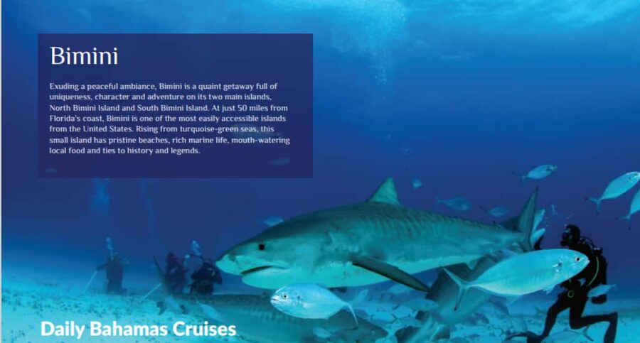 From Fort Lauderdale: Bimini Island Day Trip by Ferry - The most important passport and immigration advice