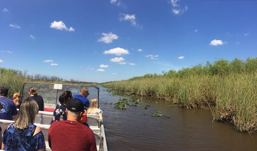 From Miami Beach: Everglades Airboat & Gator Spotting Tour - My booking verdict