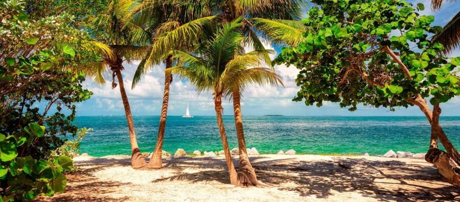 From Miami - Enchanting Key West Tour in a Small Group. - How to protect your day before pickup