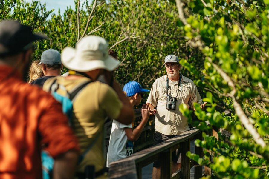 From Miami: Everglades Airboat Ride and Nature Walk - Key points to know before booking