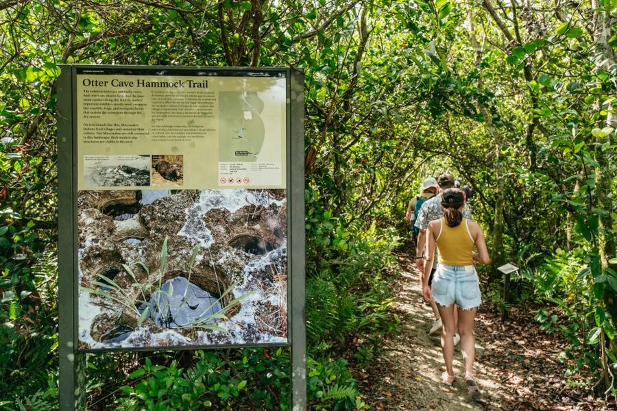 From Miami: Everglades Airboat Ride and Nature Walk - When to go and what to bring