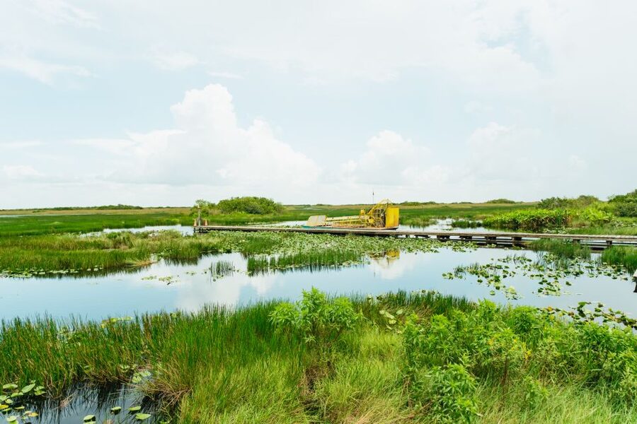 From Miami: Everglades Airboat Ride and Nature Walk - Walking through a tropical hardwood hammock