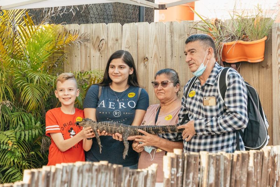 From Miami: Everglades Airboat, Wildlife Show & Bus Transfer - Practical advice for a smoother day
