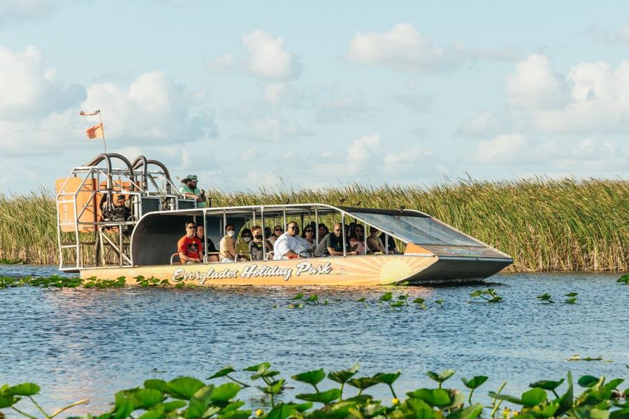 From Miami: Everglades Airboat, Wildlife Show & Bus Transfer - Forty-five minutes aboard the airboat