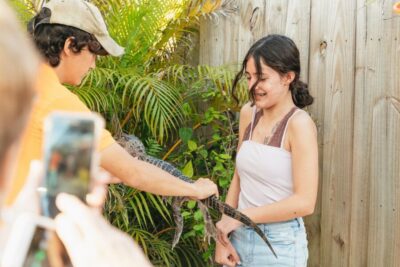 Everglades Airboat, Wildlife Show & Bus Transfer