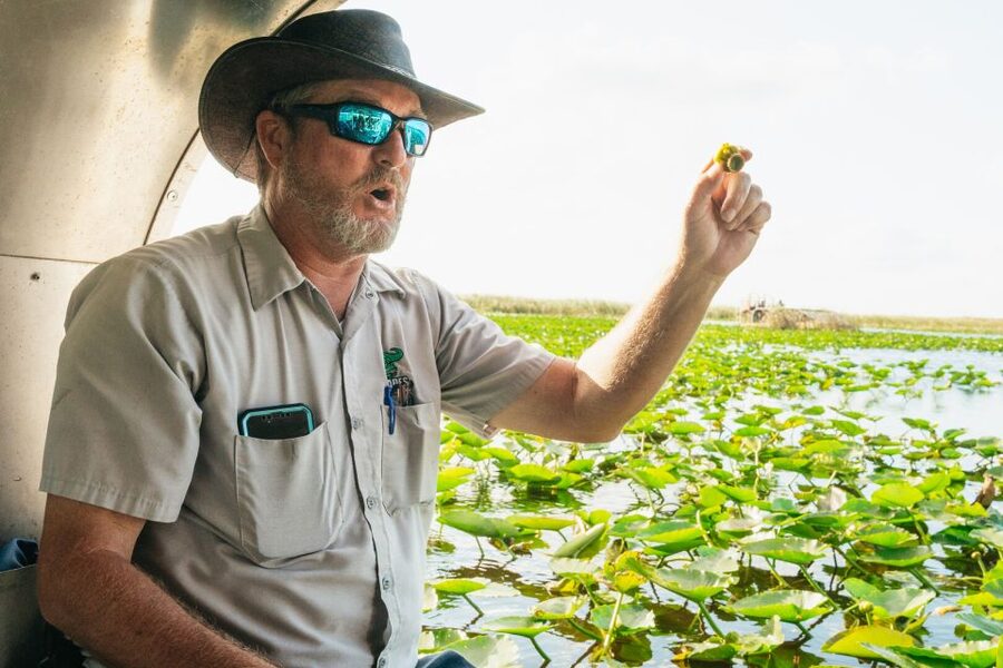 From Miami: Everglades Airboat, Wildlife Show & Bus Transfer - Is $49 good value?