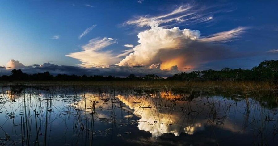From Miami: Everglades at Night with Guided Airboat Tour - Leaving Miami for Sawgrass Recreation Park
