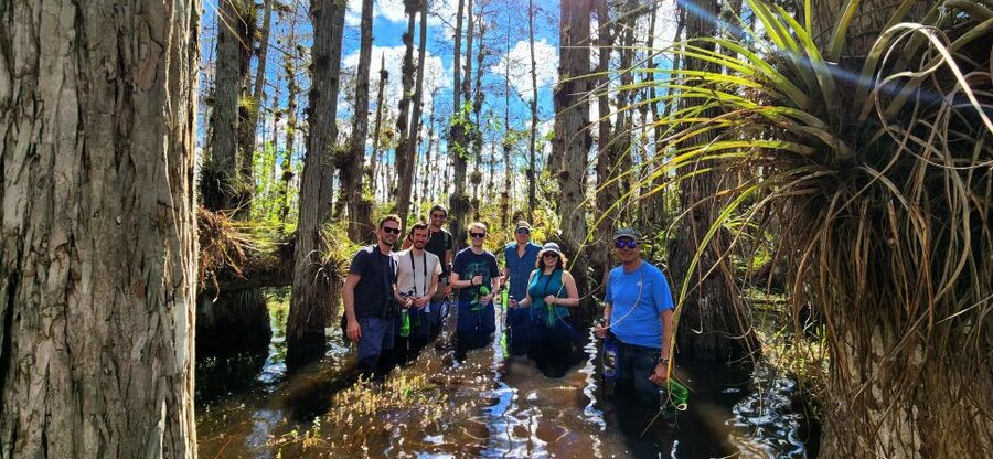 From Miami: Everglades Tour w/ Wet Walk, Boat Trips, & Lunch - The drive from Miami sets the scale