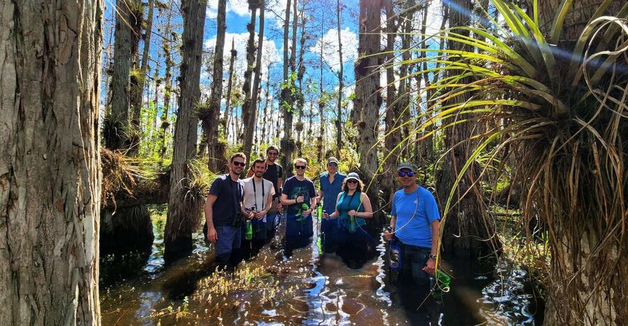 From Miami: Everglades Tour w/ Wet Walk, Boat Trips, & Lunch - Who should book this experience?