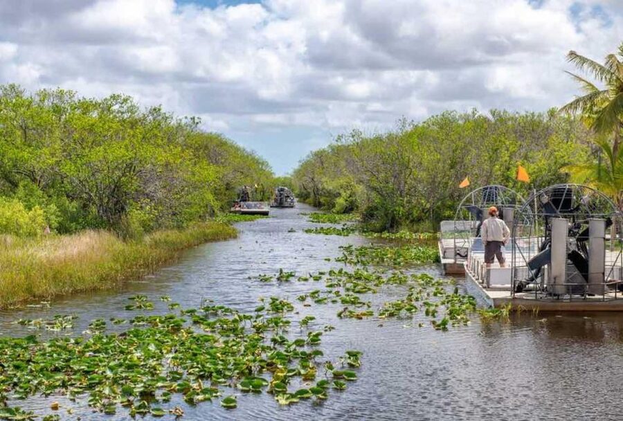 From Miami: Everglades Wildlife Show, Airboat & Bus Transfer - Who should pay for the full-day upgrade?