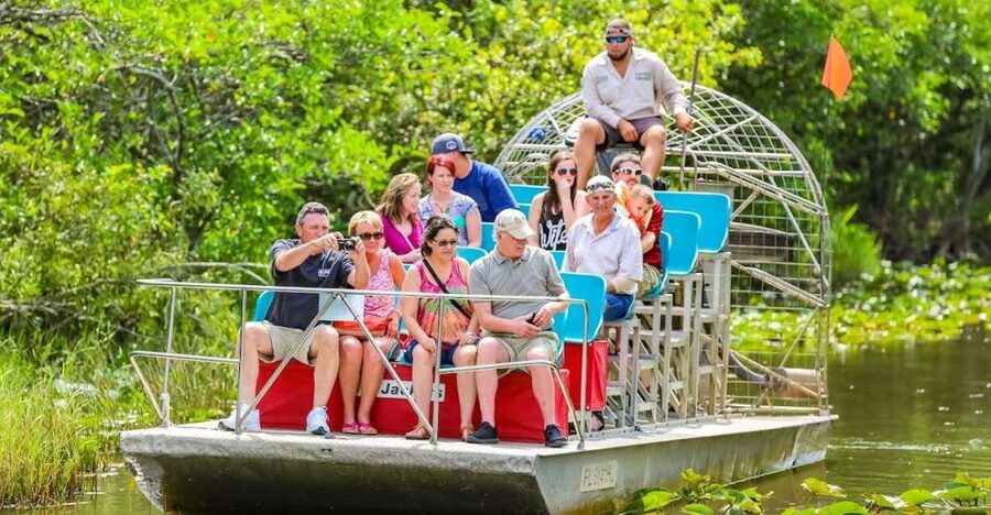 From Miami: Everglades Wildlife Show, Airboat & Bus Transfer - The alligator show gives you the close encounter