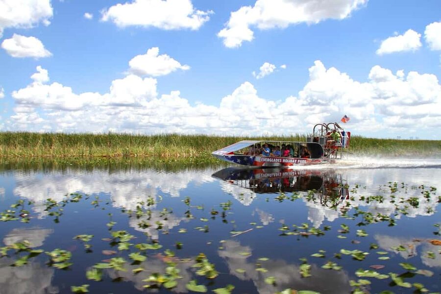 From Miami: Everglades, Wildlife Show, & Hop-on Hop-off Tour - Should you book it?